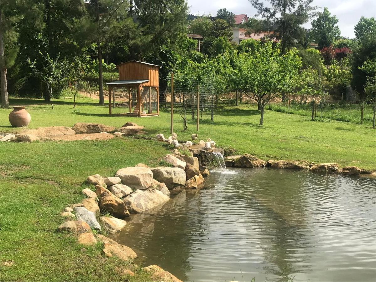 Quinta Da Vinha Do Souto Villa Arouca Exterior photo