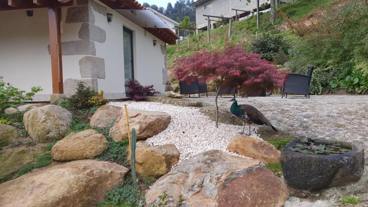 Quinta Da Vinha Do Souto Villa Arouca Exterior photo
